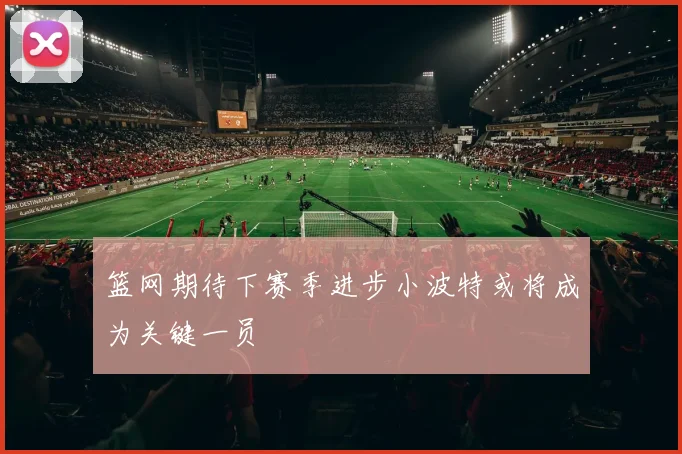 篮网期待下赛季进步小波特或将成为关键一员
